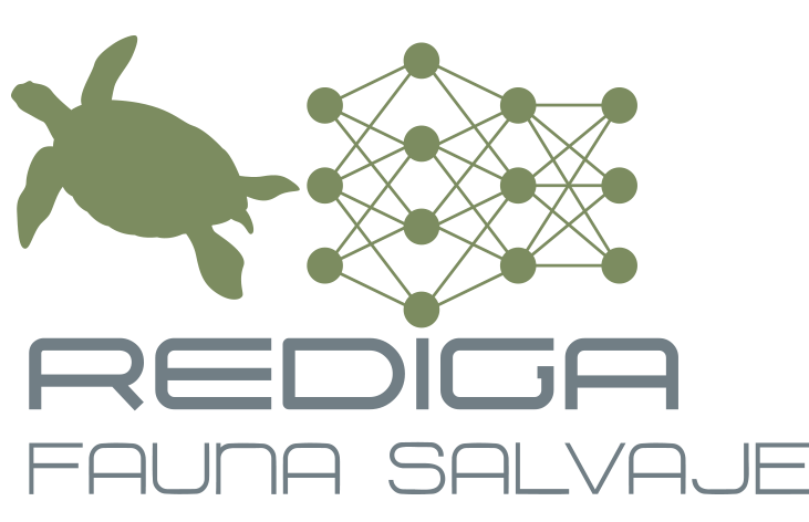 REDIGA FAUNA