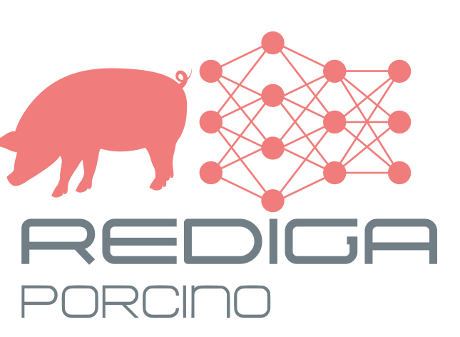 REDIGA PORCINO 